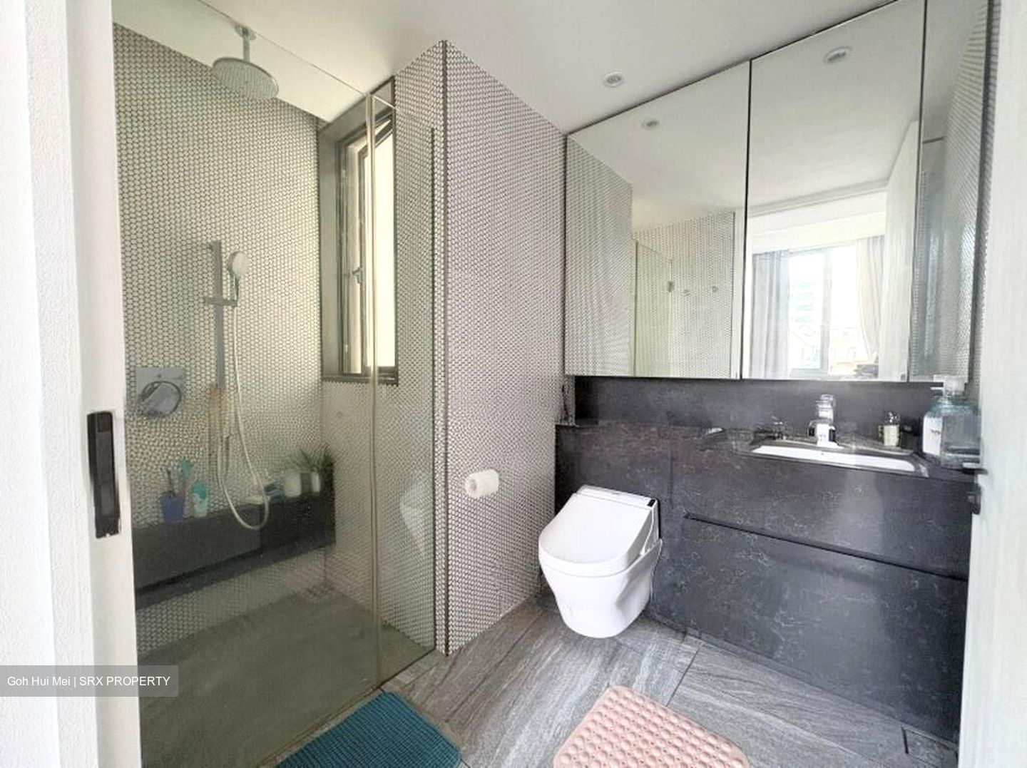 10 Evelyn (D11), Apartment #523680731